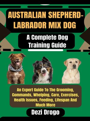 cover image of Australian Shepherd-Labrador Mix Dog